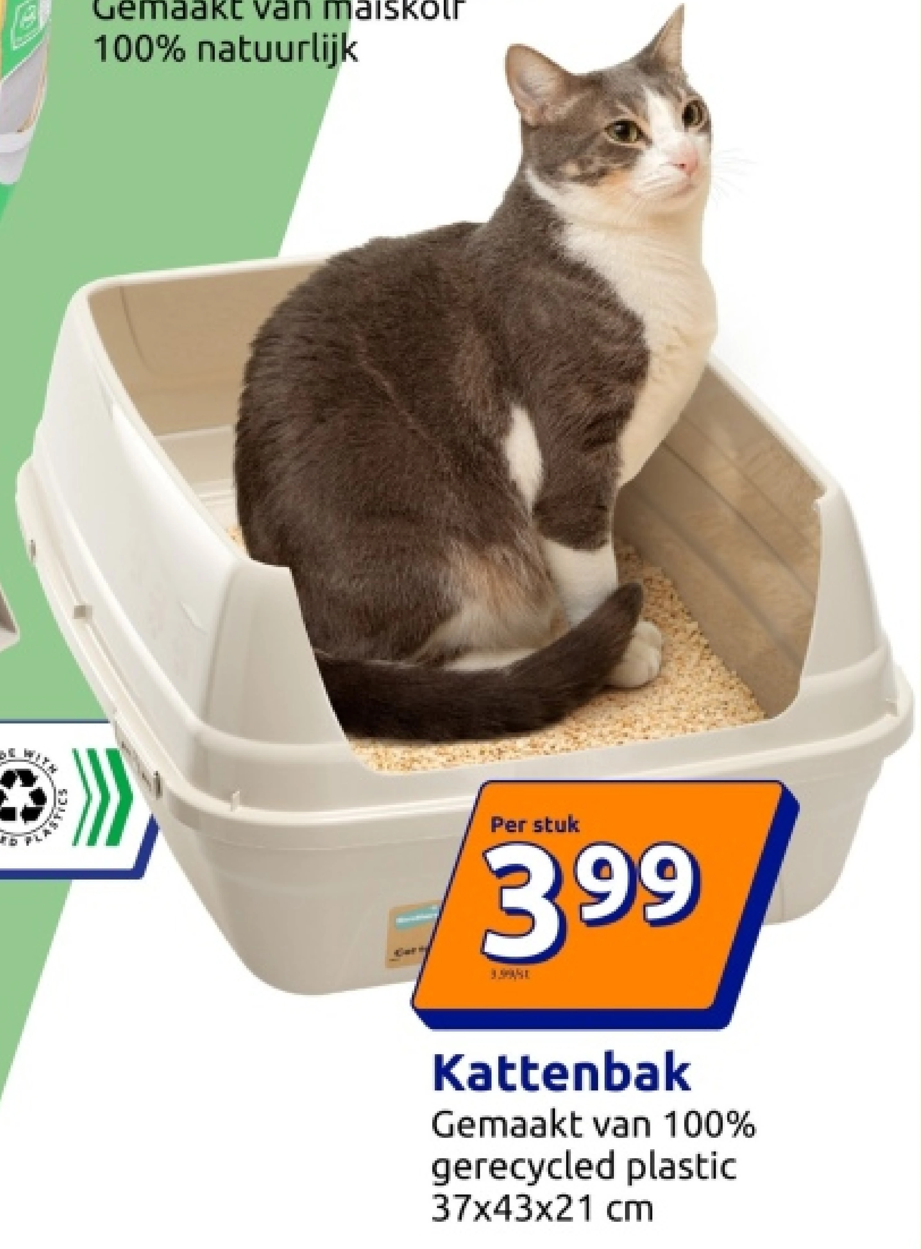 Kattenbak