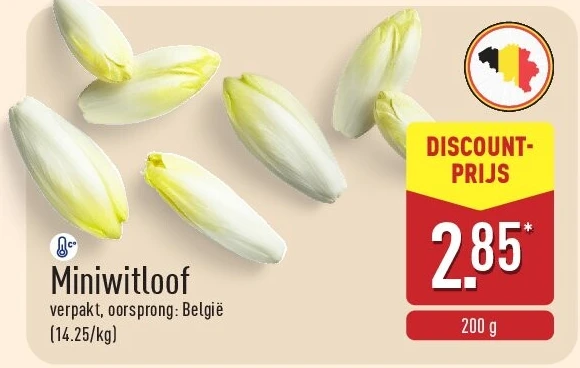 Miniwitloof