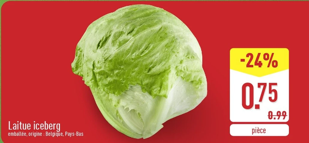 Laitue iceberg