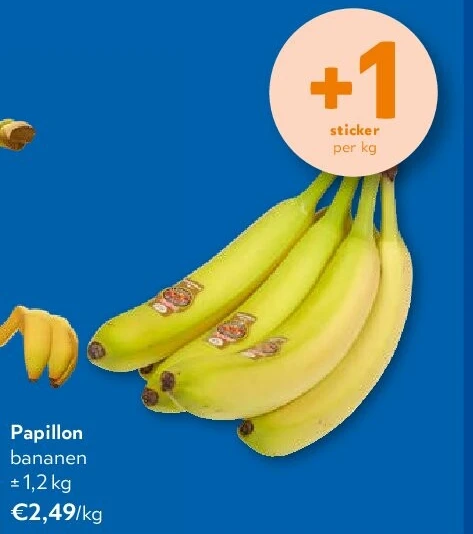 Papillon bananen