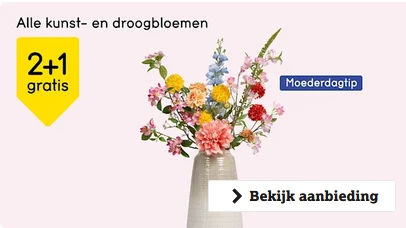 Alle kunstbloemen en droogbloemen 2+1 gratis bij Leenbakker