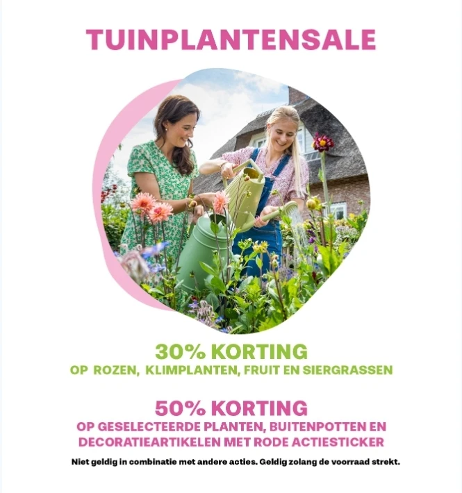 Tuinplanten en buitenpotten Sale bij Tuincentrum Meijers