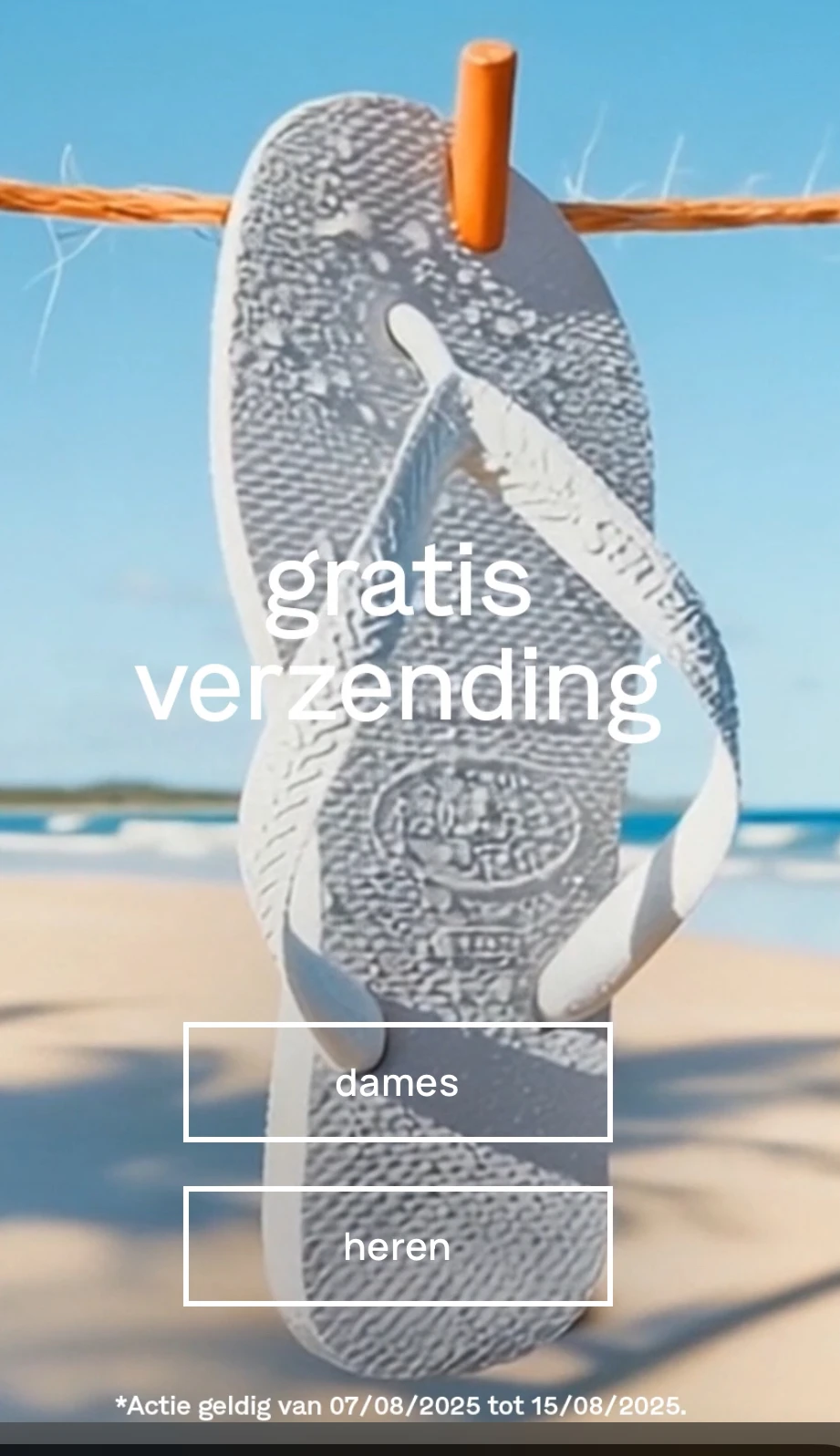 Havainas gratis verzending