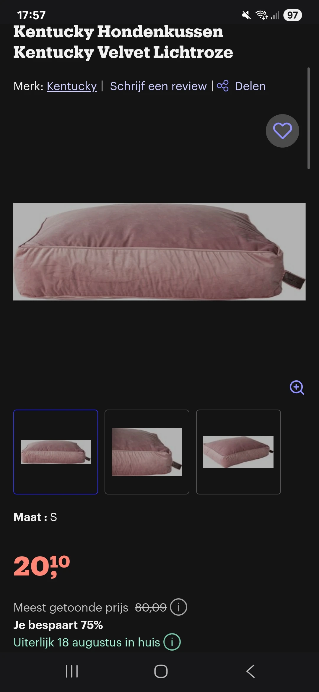 Hondenkussen in promo