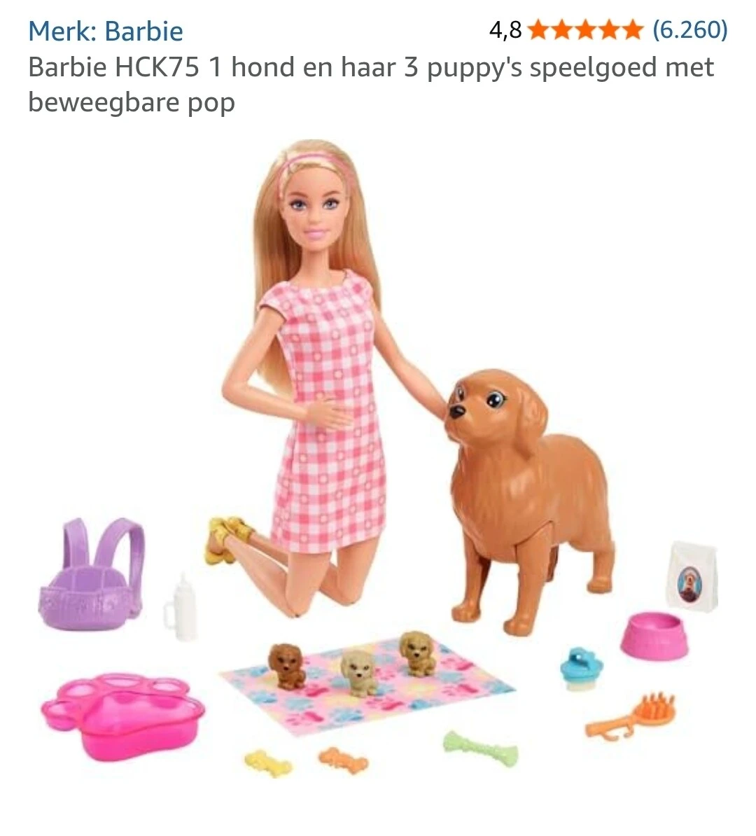 Barbie met hondje en accessoires