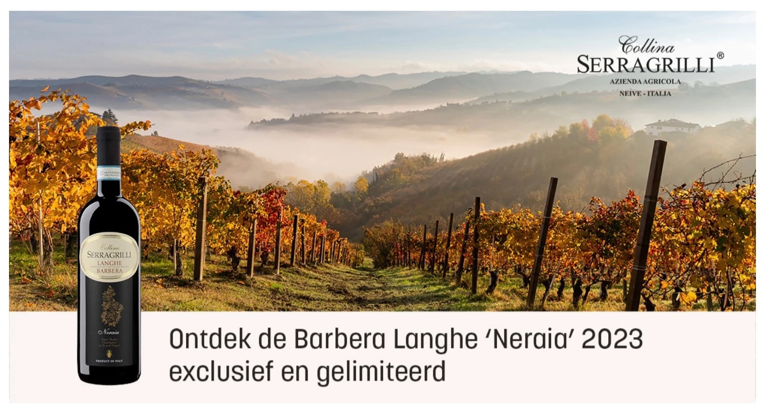 Barbera Beraia 2023