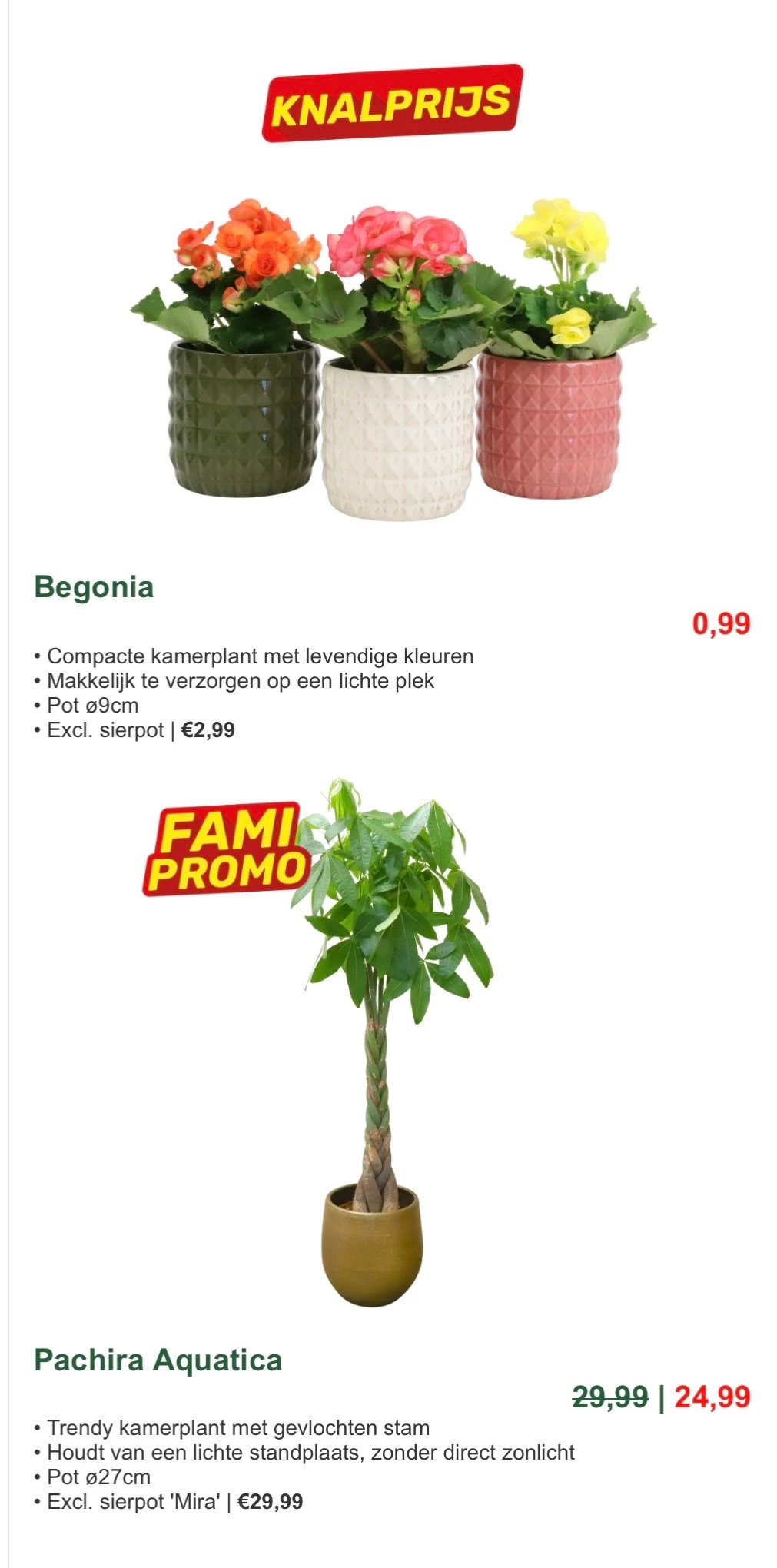 Famiflora deals