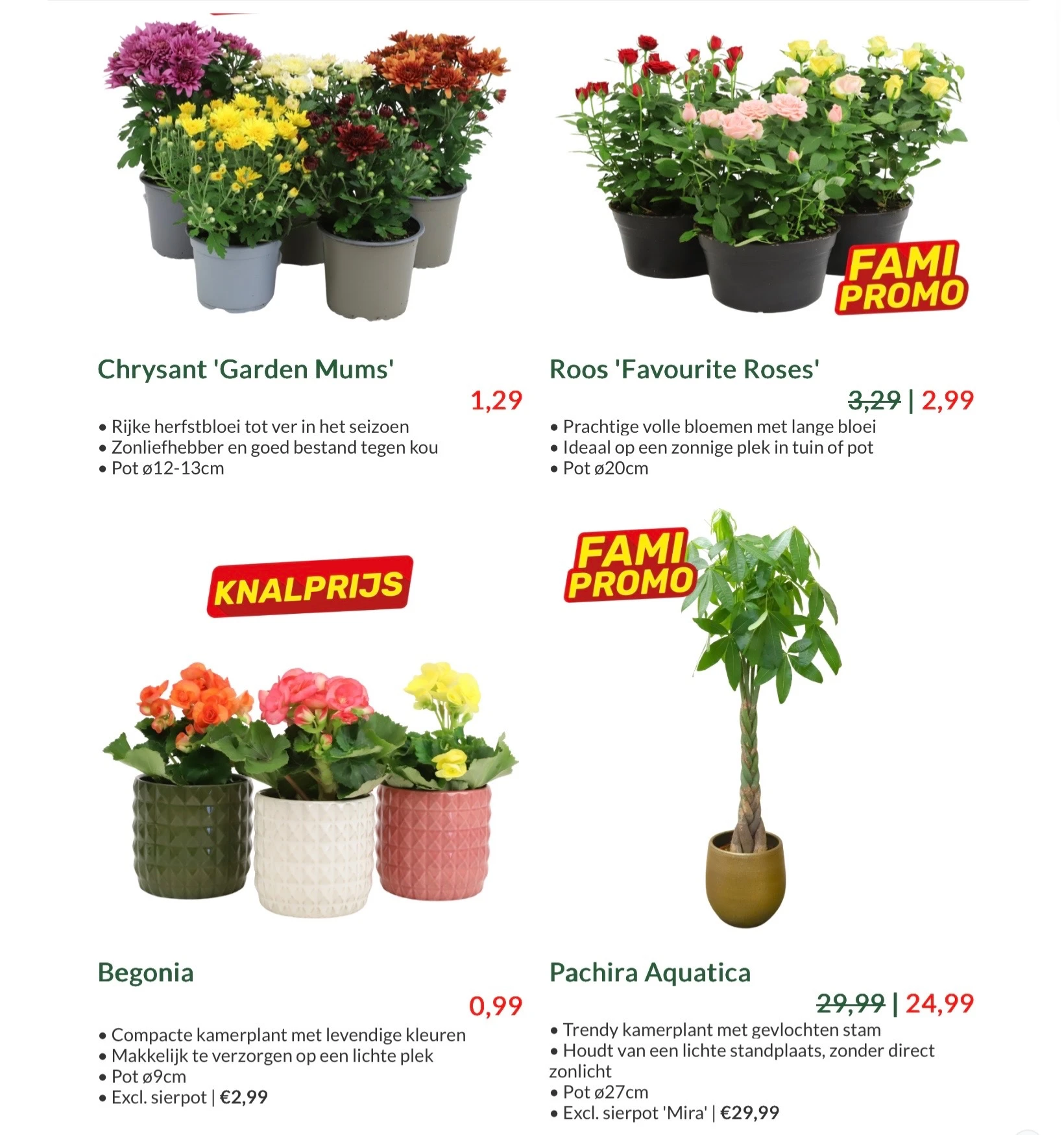 Famiflora deals