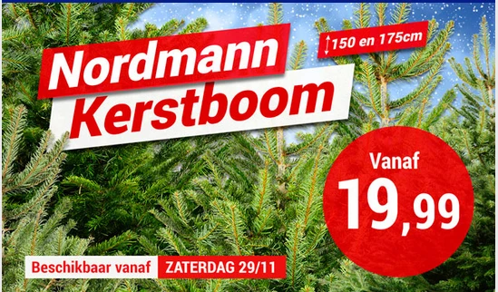 Nordmann kerstbomen vanaf €19,99