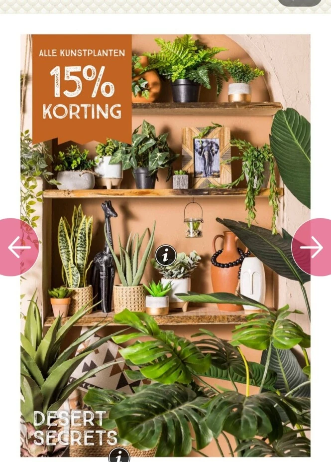 Bij Xenos.nl op alle kunstplanten 15% korting