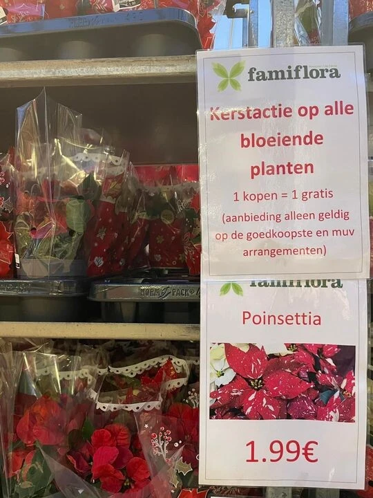 Bij Famiflora in Adinkerke 📍 1+1 gratis op b...