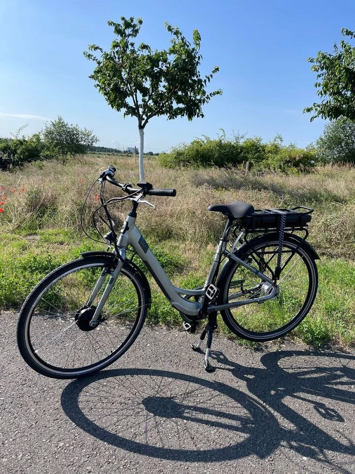 Via Upway een nieuwe elektrische fiets gekoch...