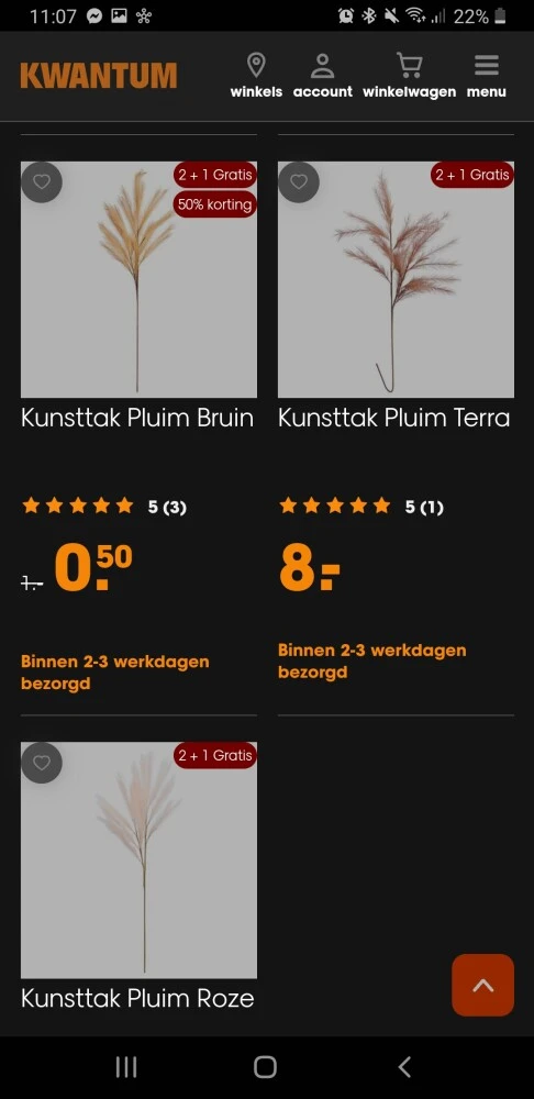Droogbloemen kwantum