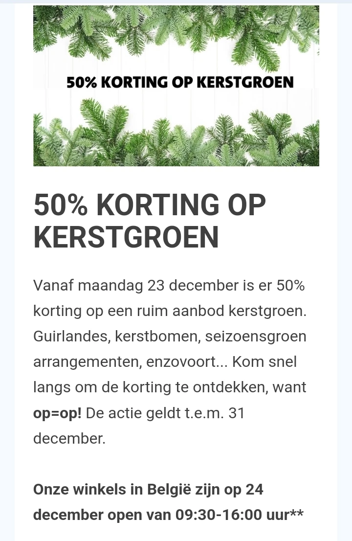 50% korting op kerstgroen bij Intratuin