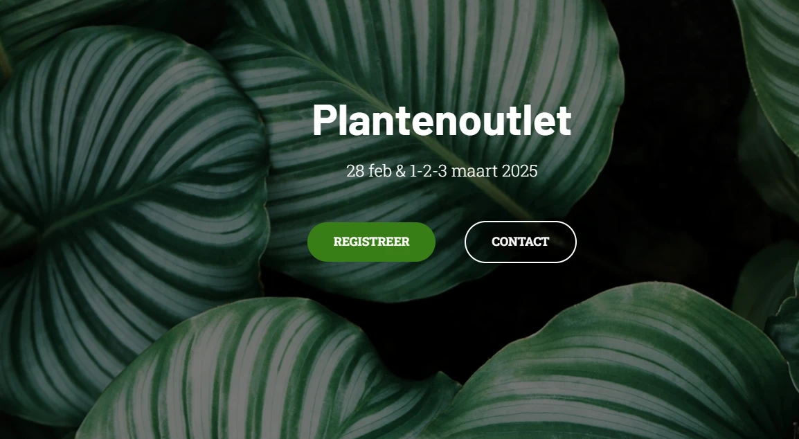 Plantenoutlet, aan kwekersprijzen 🌳 Bloemen Robberechts