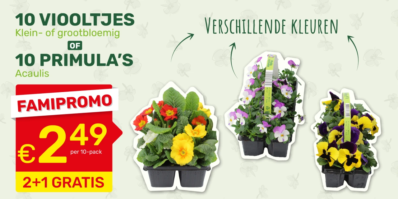 Famiflora