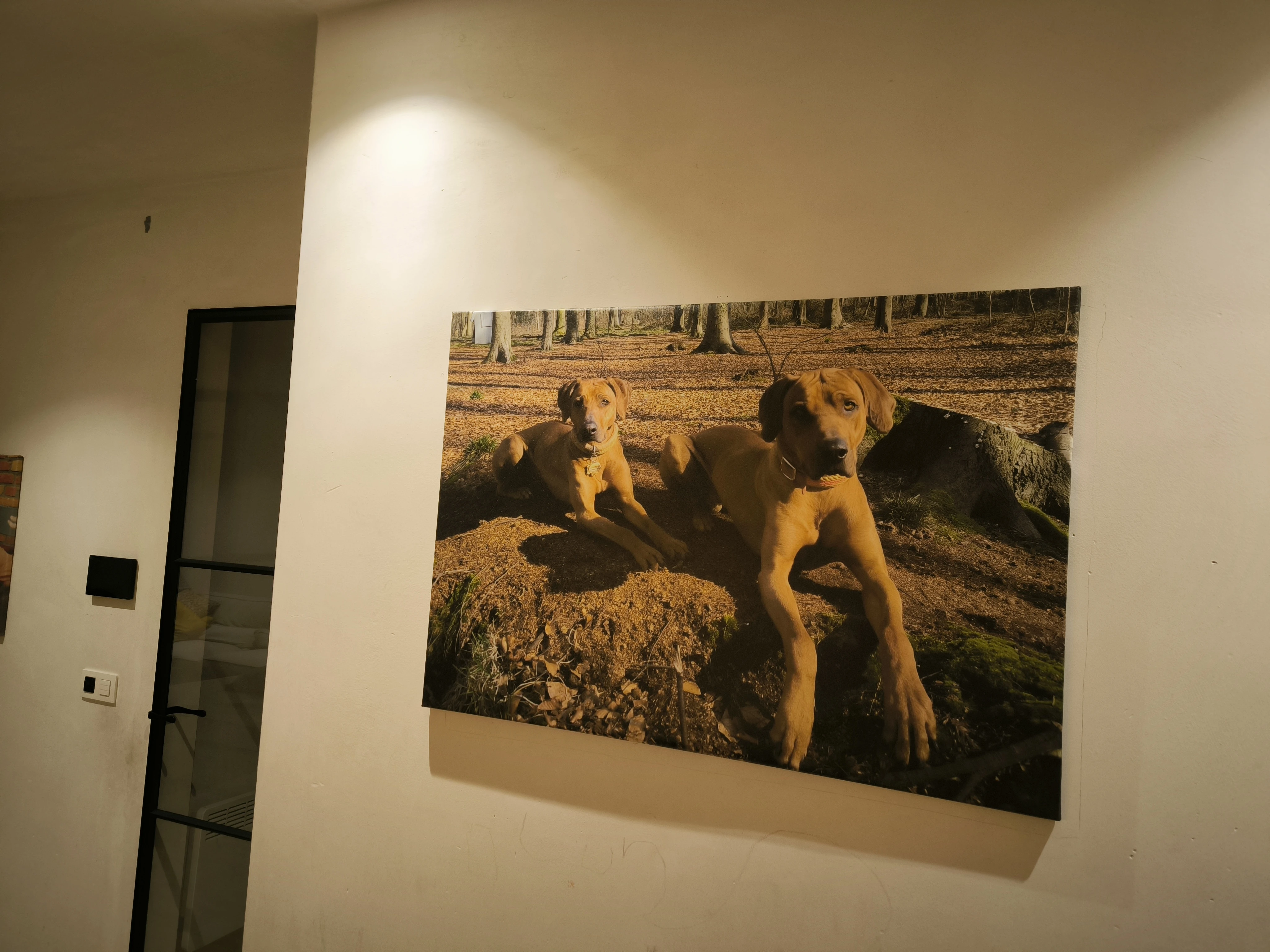 Canvas voor 25,91€ ipv 110,92€!
