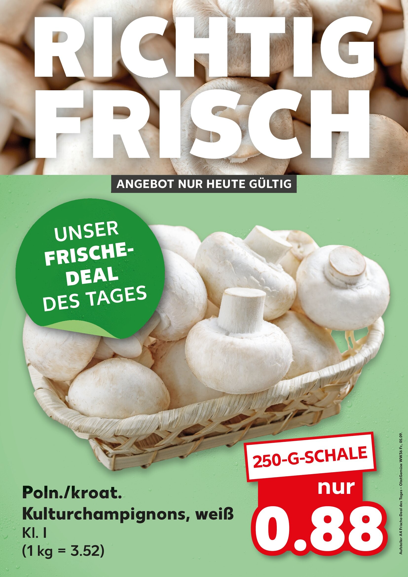 Folder Kaufland