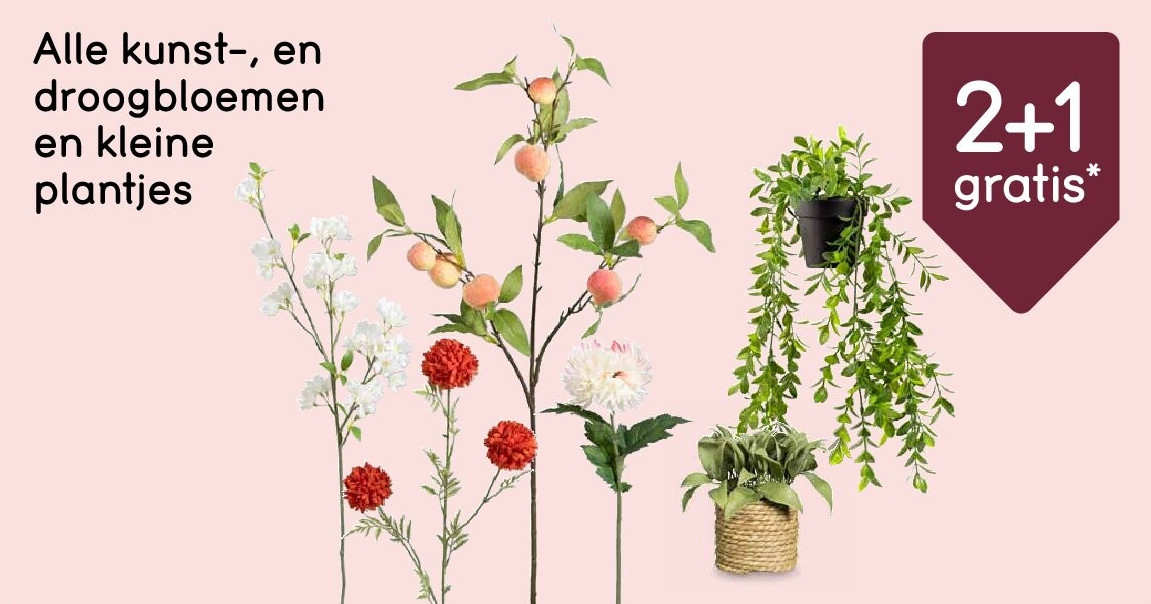 Alle kunst-, en droogbloemen en kleine plantjes