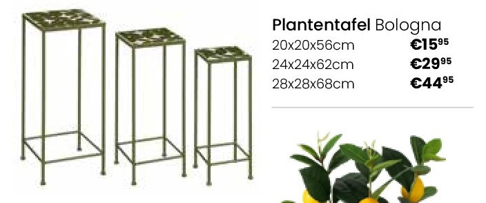 Plantentafel Bologna