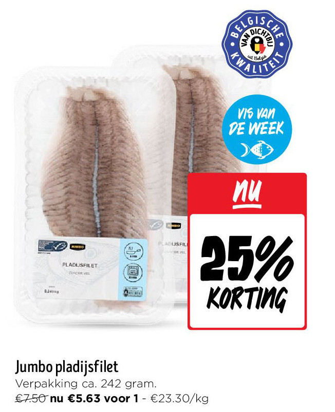 Jumbo pladijsfilet