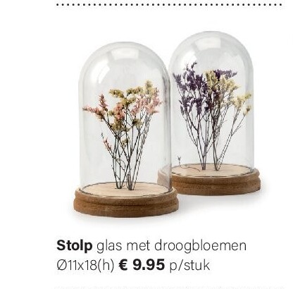 Stolp glas met droogbloemen Ø11x18(h)