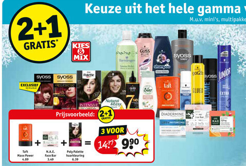 Taft Maxx Power + N.A.E Face Bar + Poly Palette haarkleuring