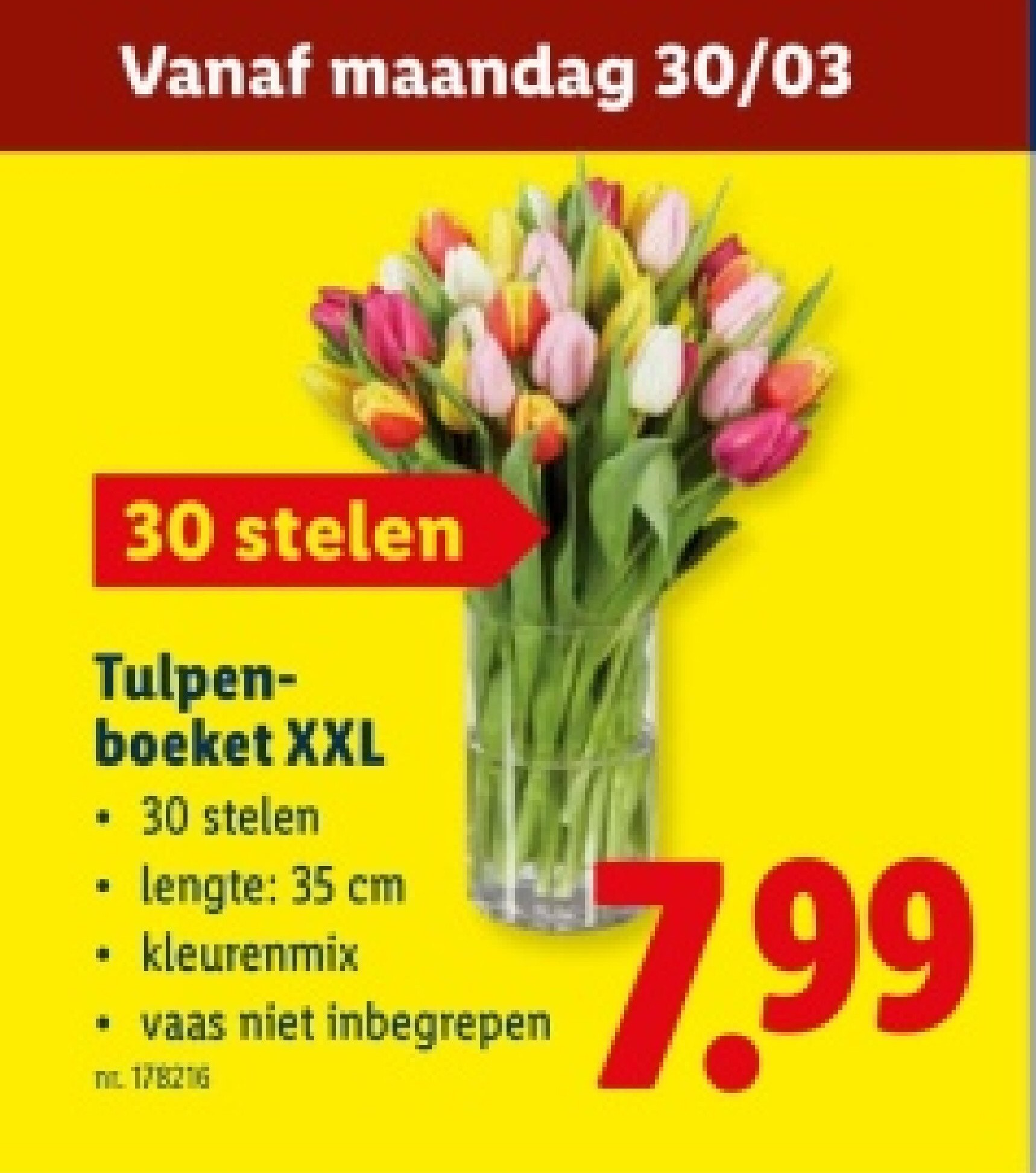 Tulpenboeket XXL