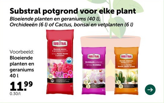 Bloeiende planten en geraniums 40 1