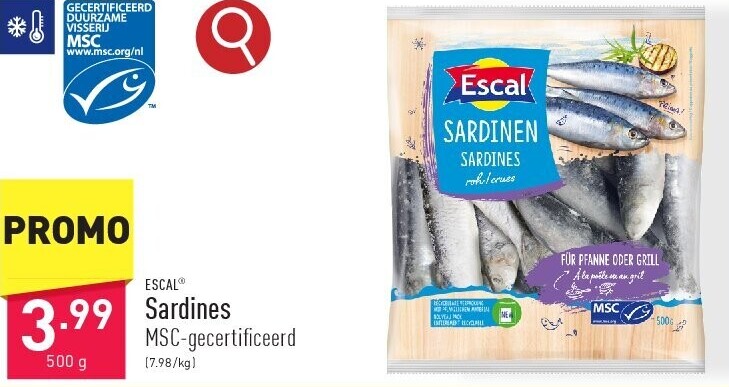 Sardines