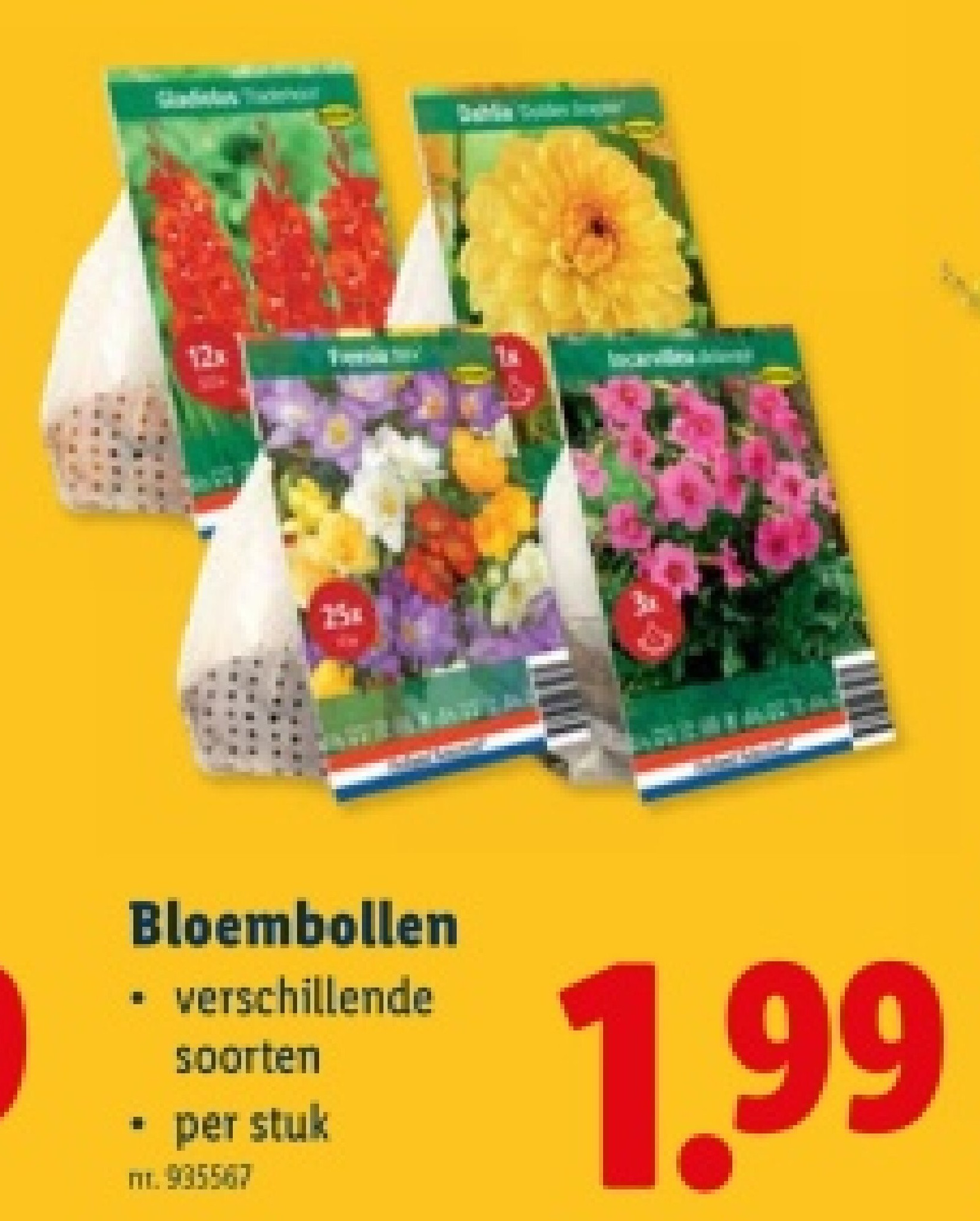 Bloembollen