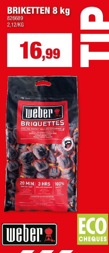 BRIKETTEN 8 kg