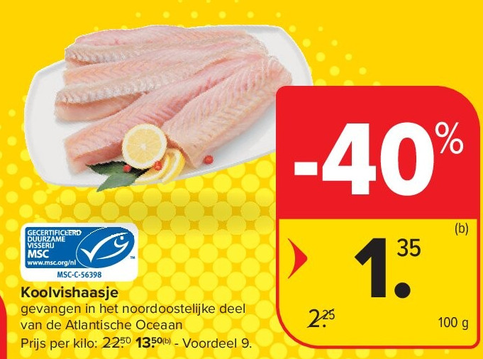 Koolvishaasje