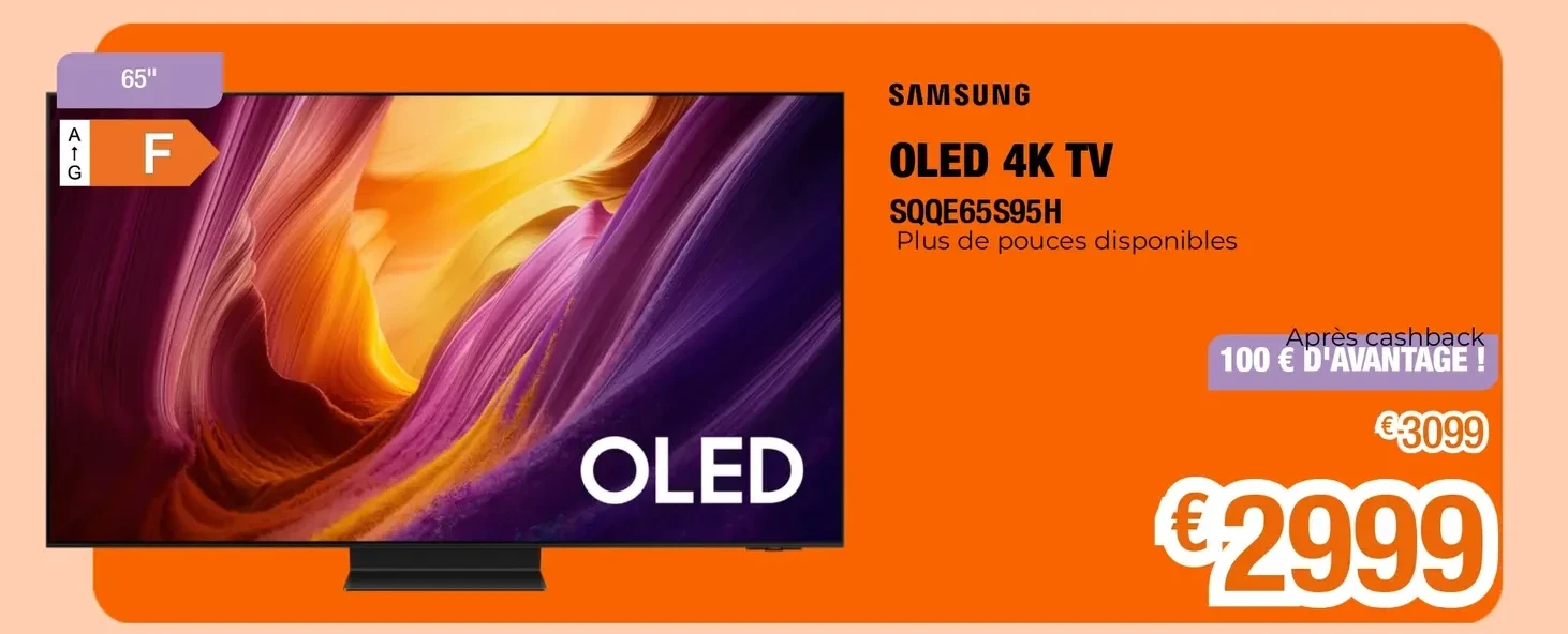 Samsung OLED 4K TV SQQE65S95H