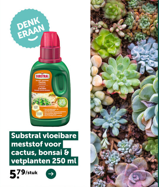 Substral vloeibare meststof voor cactus, bonsai & vetplanten 250 ml