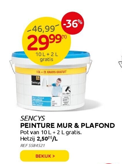 SENCYS PEINTURE MUR & PLAFOND