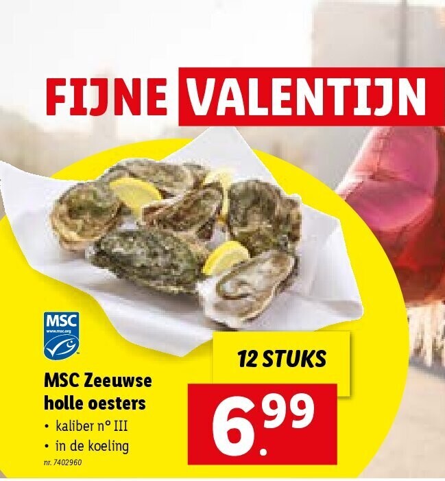 MSC Zeeuwse holle oesters