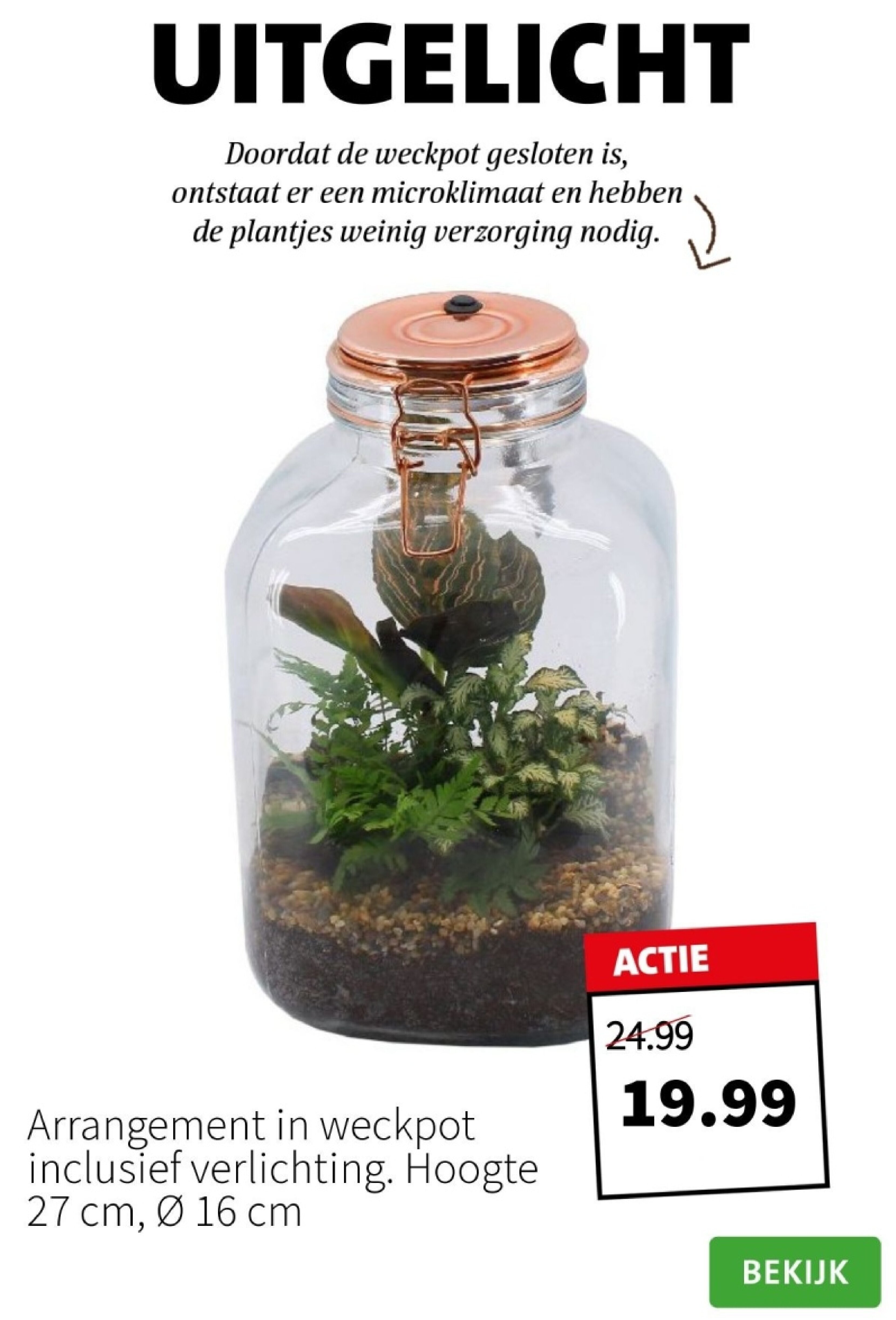 Arrangement in weckpot inclusief verlichting