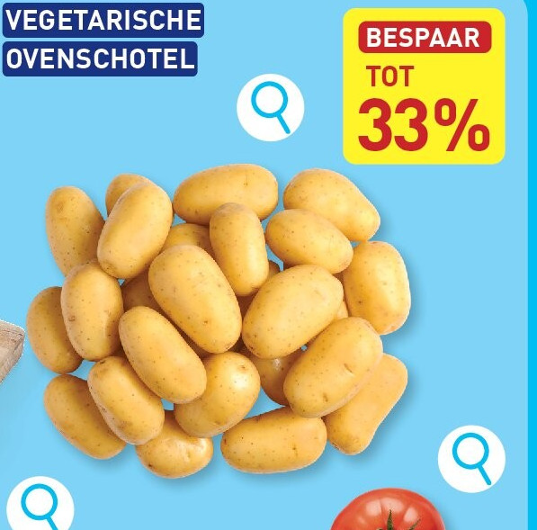 VEGETARISCHE OVENSCHOTEL