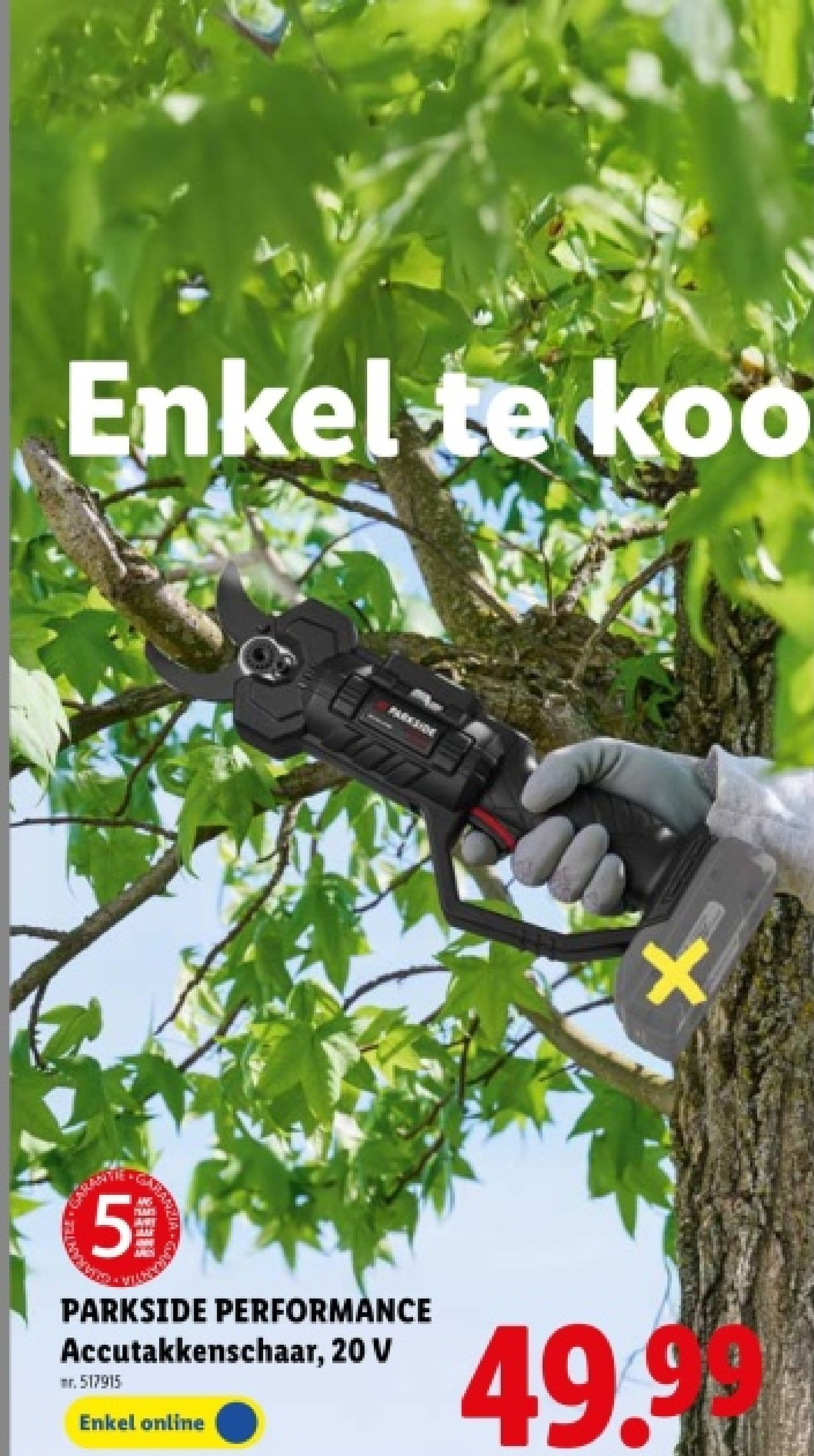 Accutakkenschaar, 20V