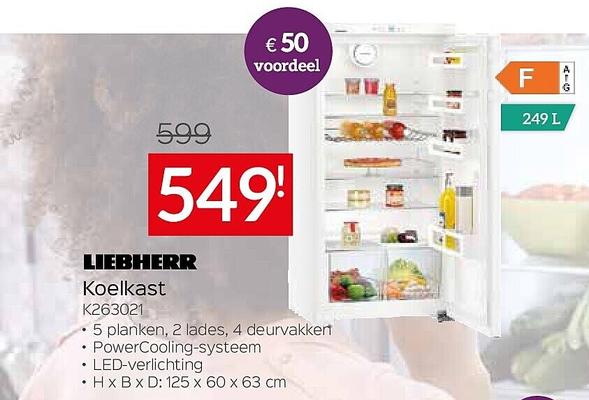 Koelkast K263021