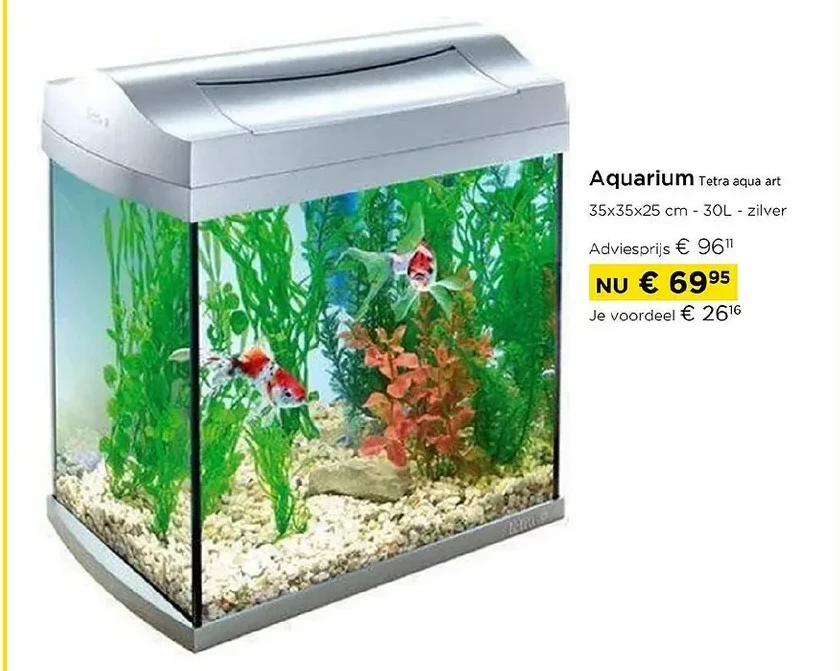 Aquarium Tetra aqua art