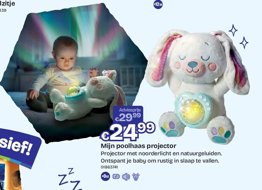 Mijn poolhaas projector