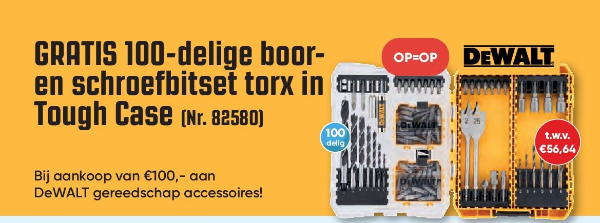 GRATIS 100-delige booren schroefbitset torx in Tough Case