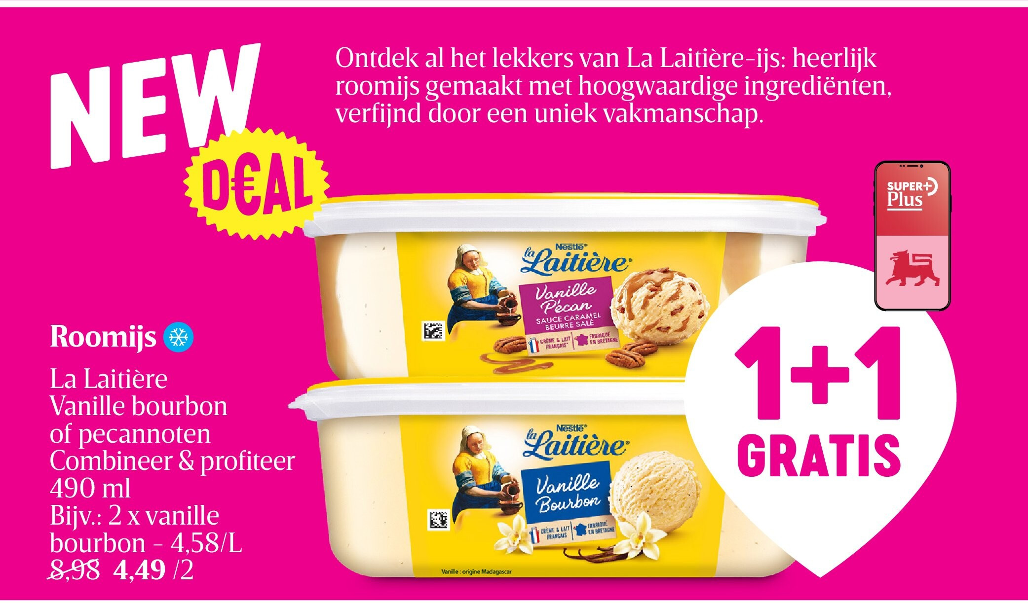 Roomijs