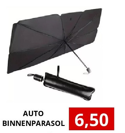 AUTO BINNENPARASOL