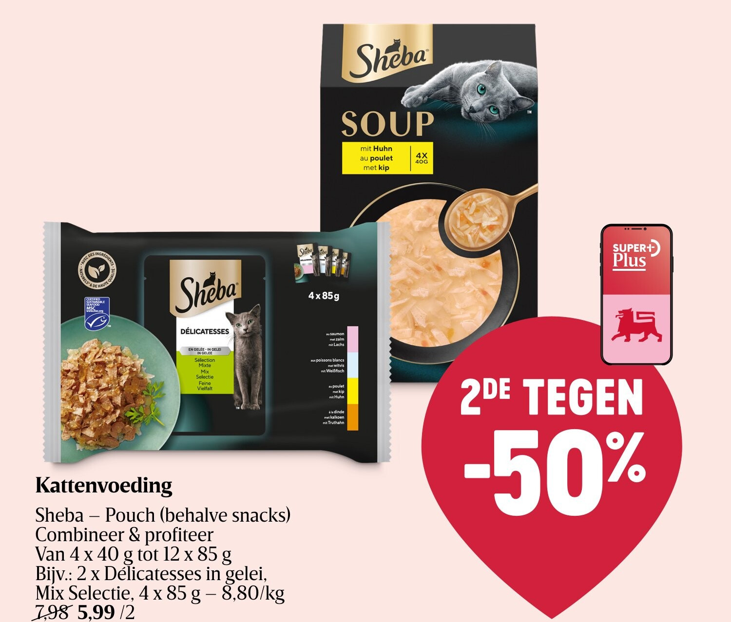 Kattenvoeding