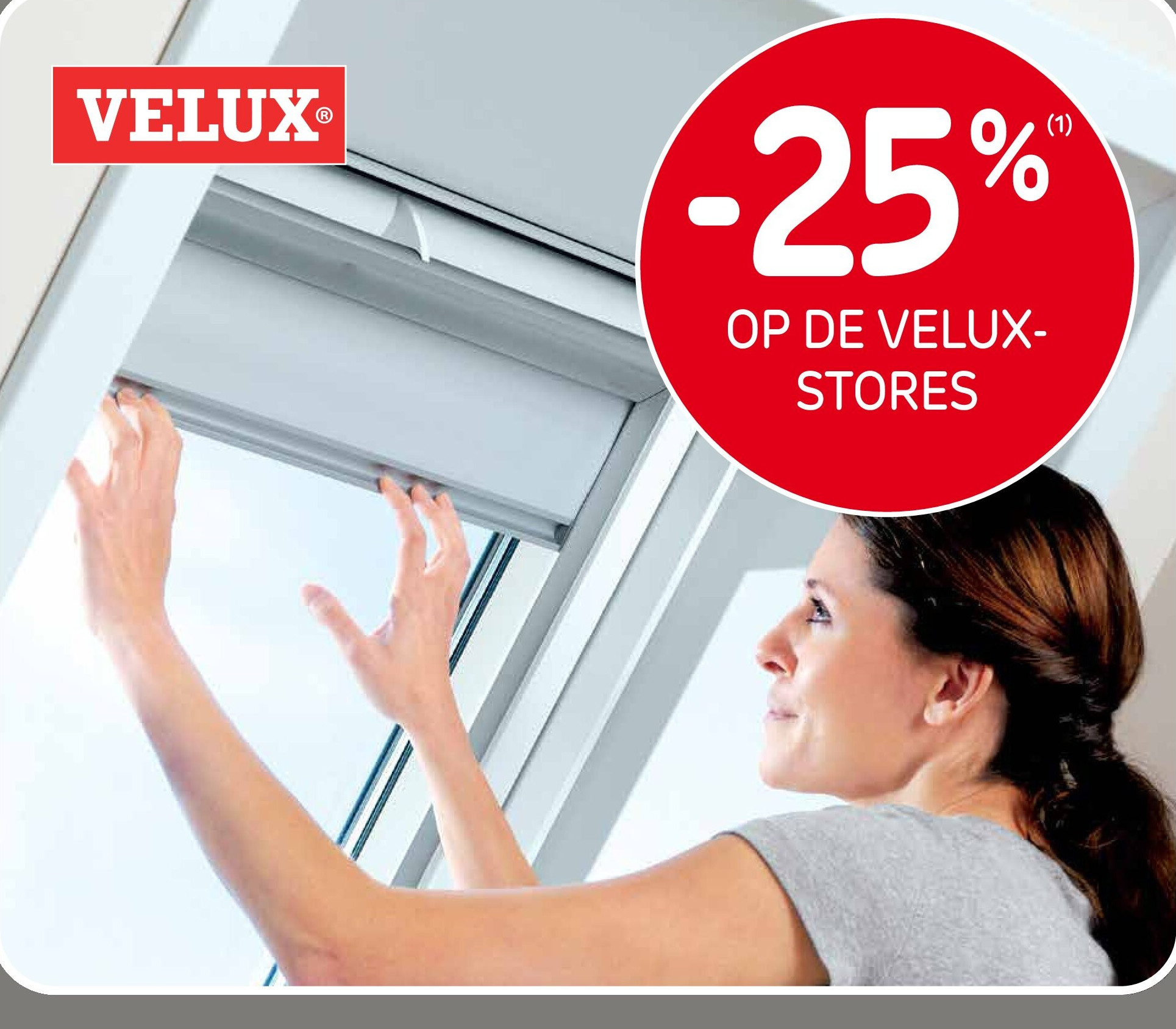 VELUX dakvensters