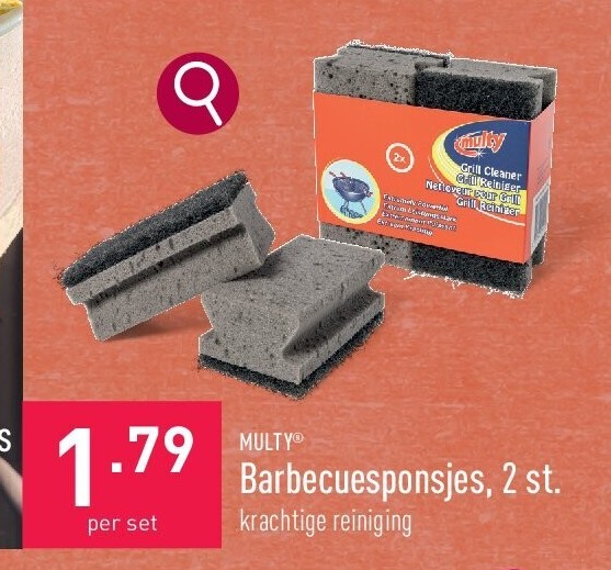 Barbecuesponsjes, 2 st.