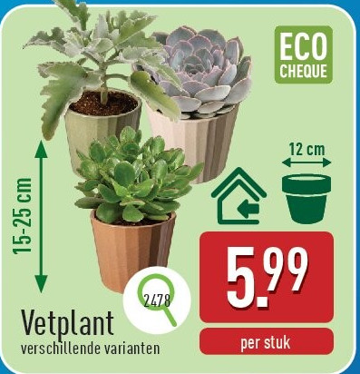 Vetplant